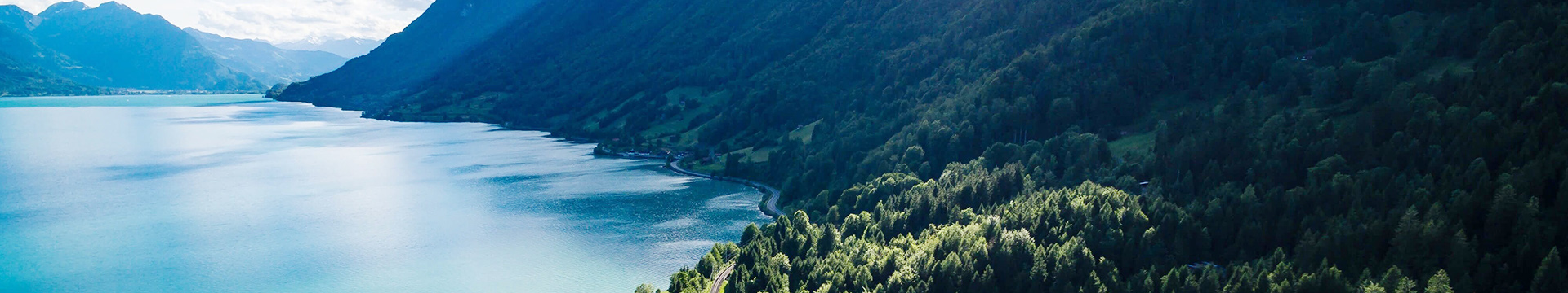 VOCs在線監測系統,恒富盛